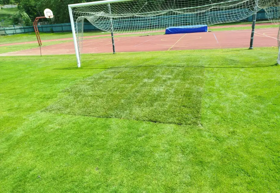 Regenerace hlavního hřiště