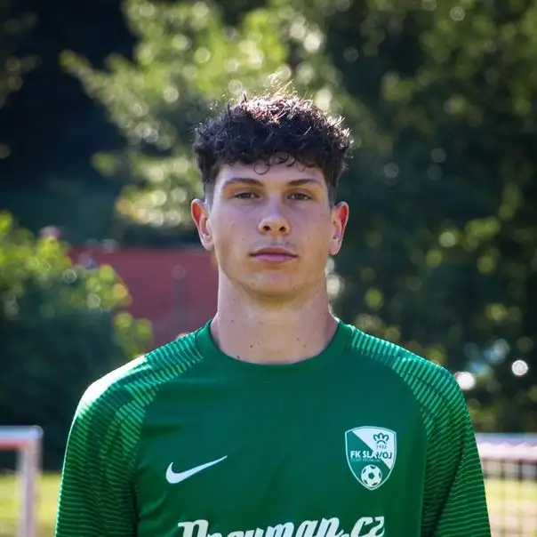Vojtěch Šerhakl
