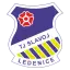 TJ Slavoj Ledenice